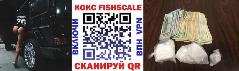 Cocaine FishScale  магазин  наркотиков  Разумное 