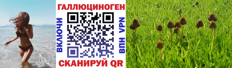 Галлюциногенные грибы мицелий  даркнет сайт  Разумное 